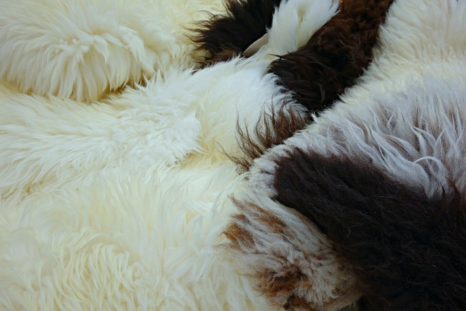 Teplý fleece